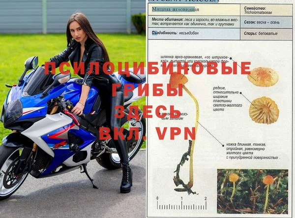 твердый Волоколамск