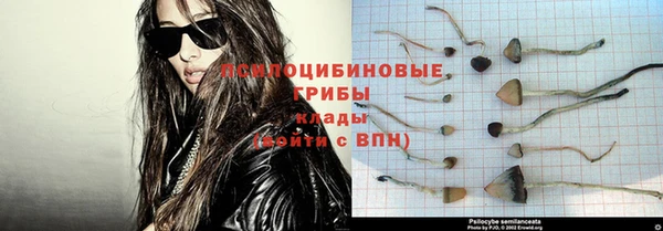 mdpv Володарск